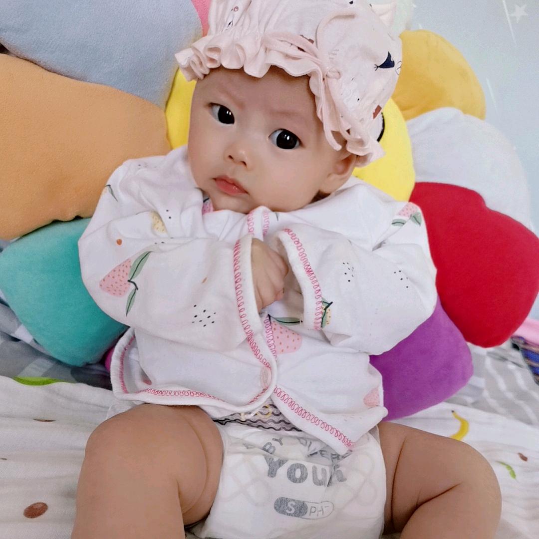 小鹿伊