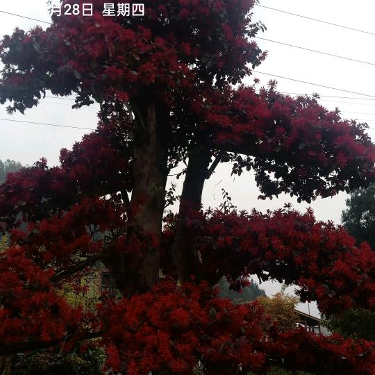 用户111