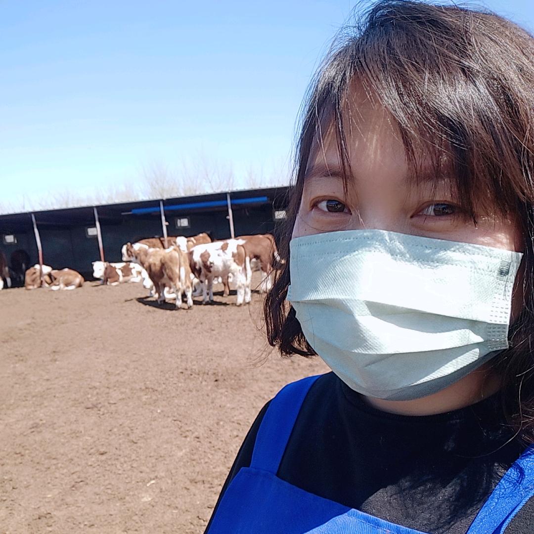 大美丽卖牛肉、牛头副产品（也卖活牛）