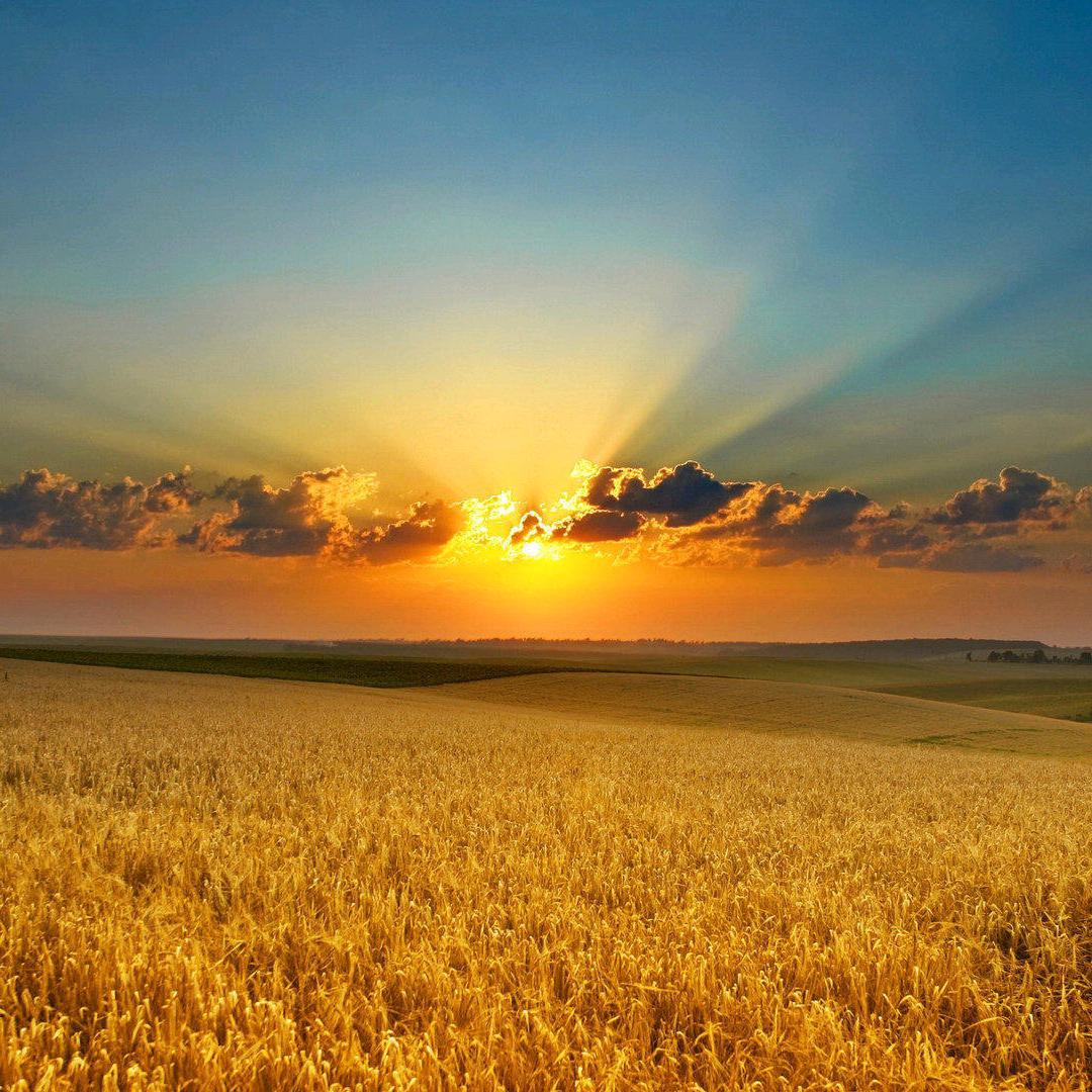 冬天怎么能少的了糖葫芦