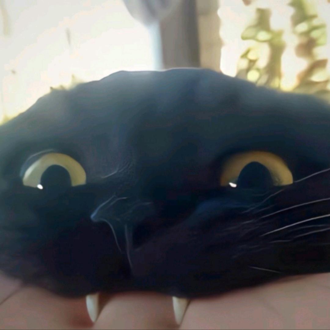 知屋~猪