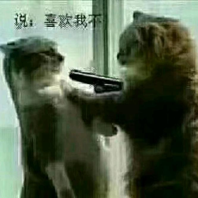 房产箭哥