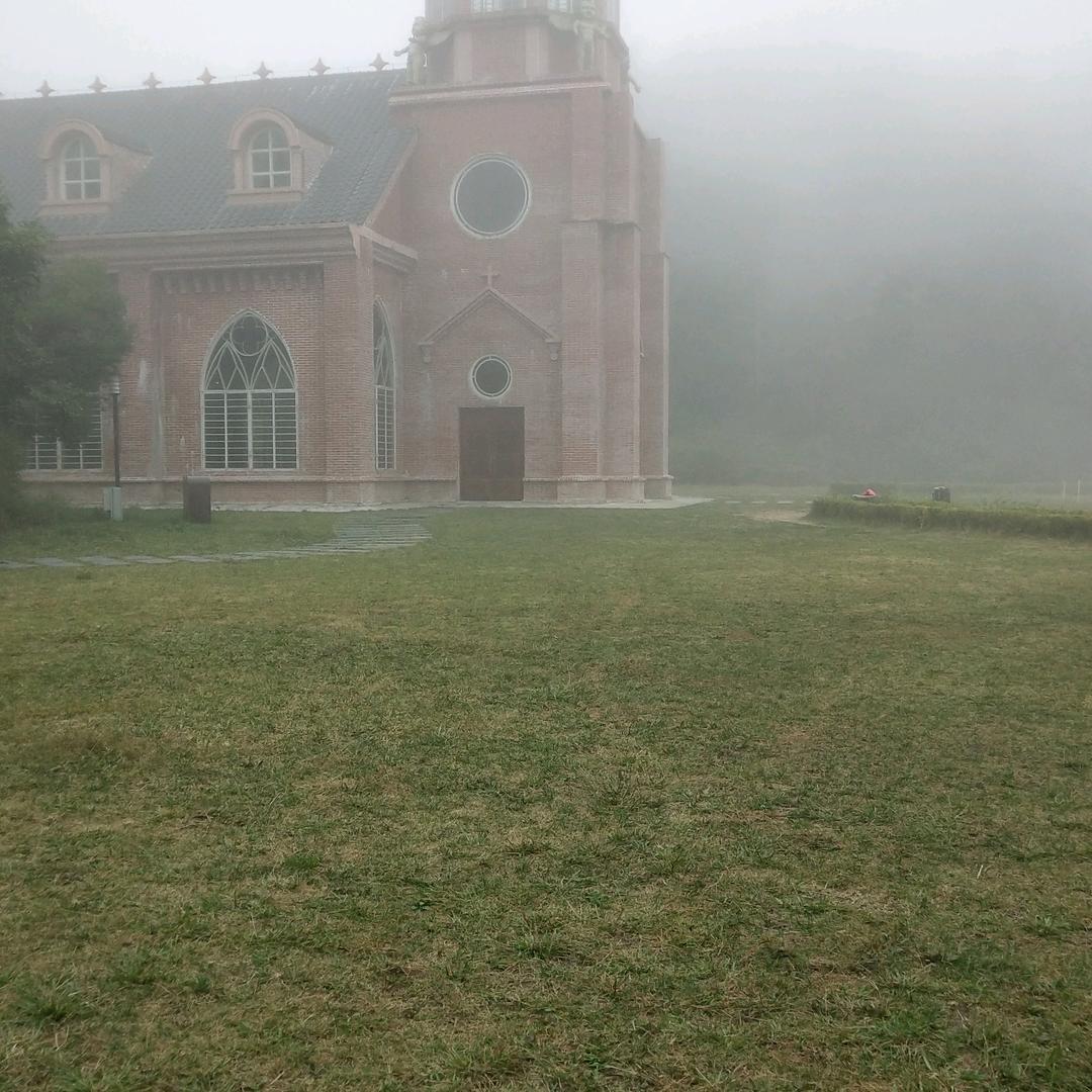 柒👉哥🌿