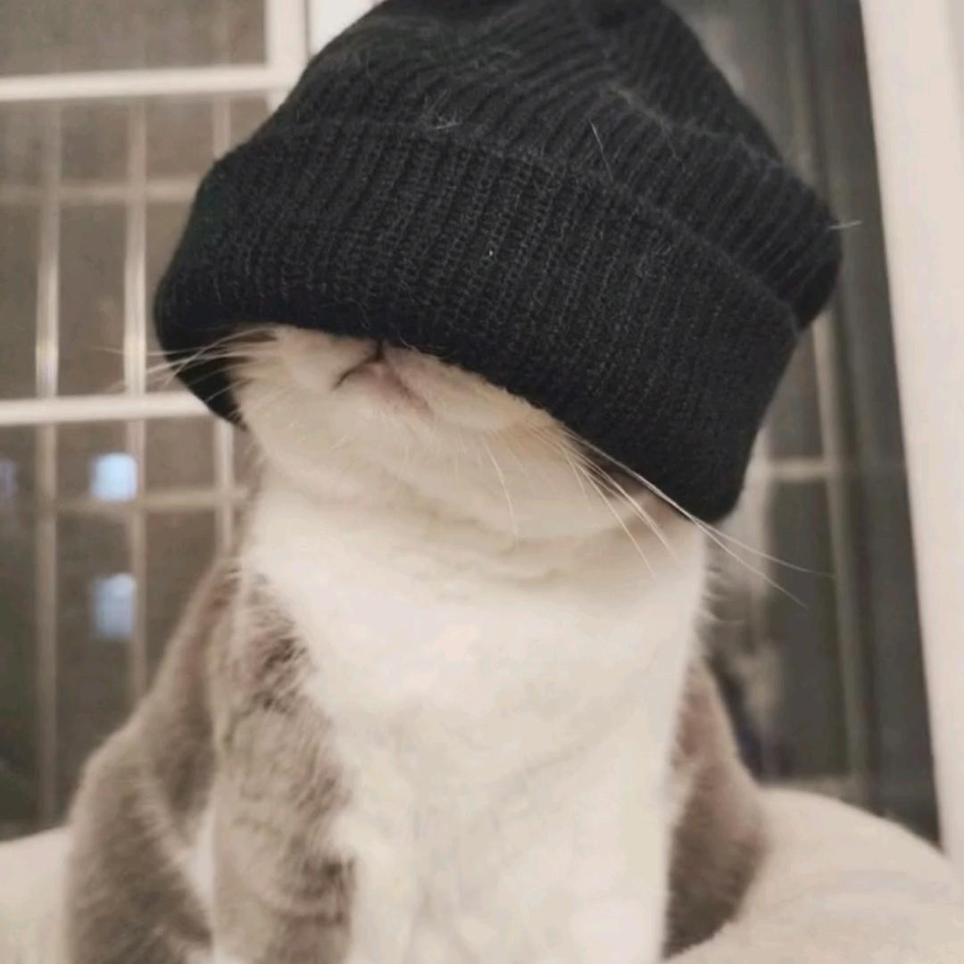 啊啊啊啊钦