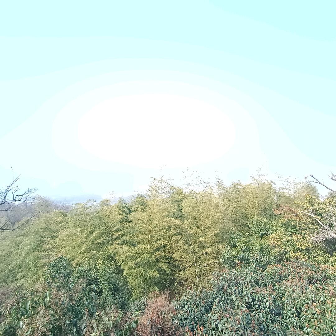 柒佰