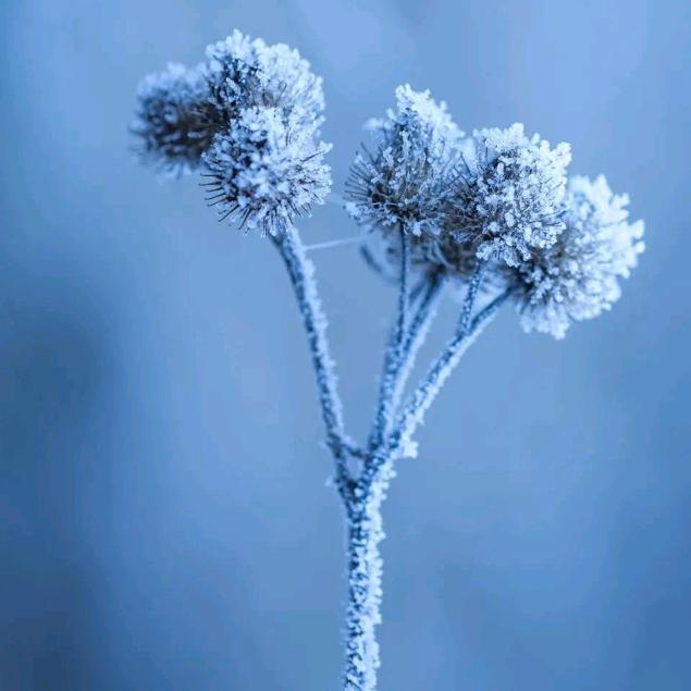 ໑ຼₒ₂₃ღ᭄一念倾心🕊꧔ꦿ᭄💞