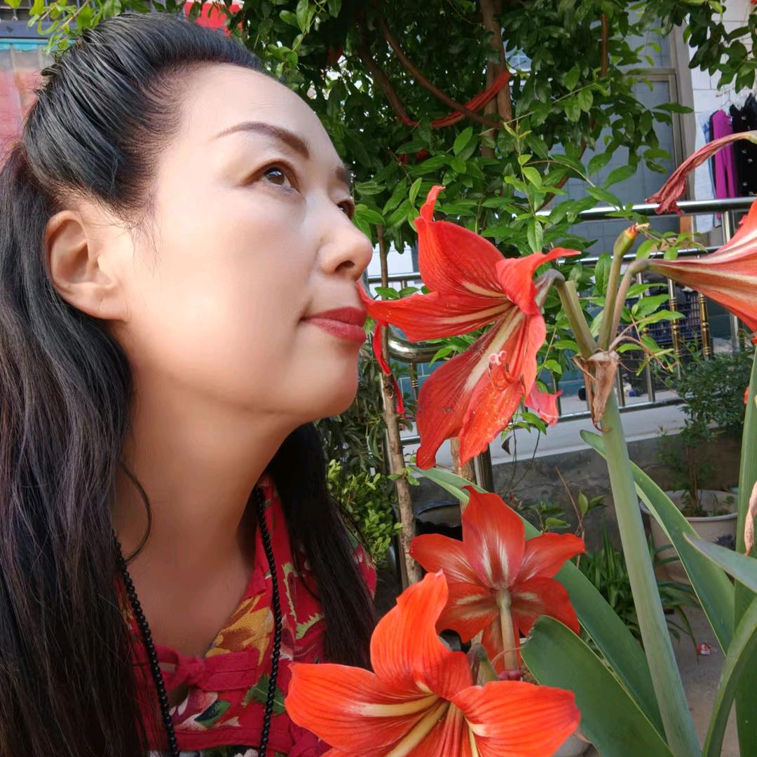 美衣娘