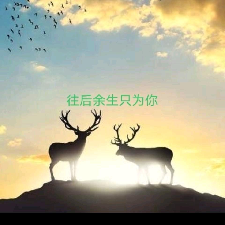 你好