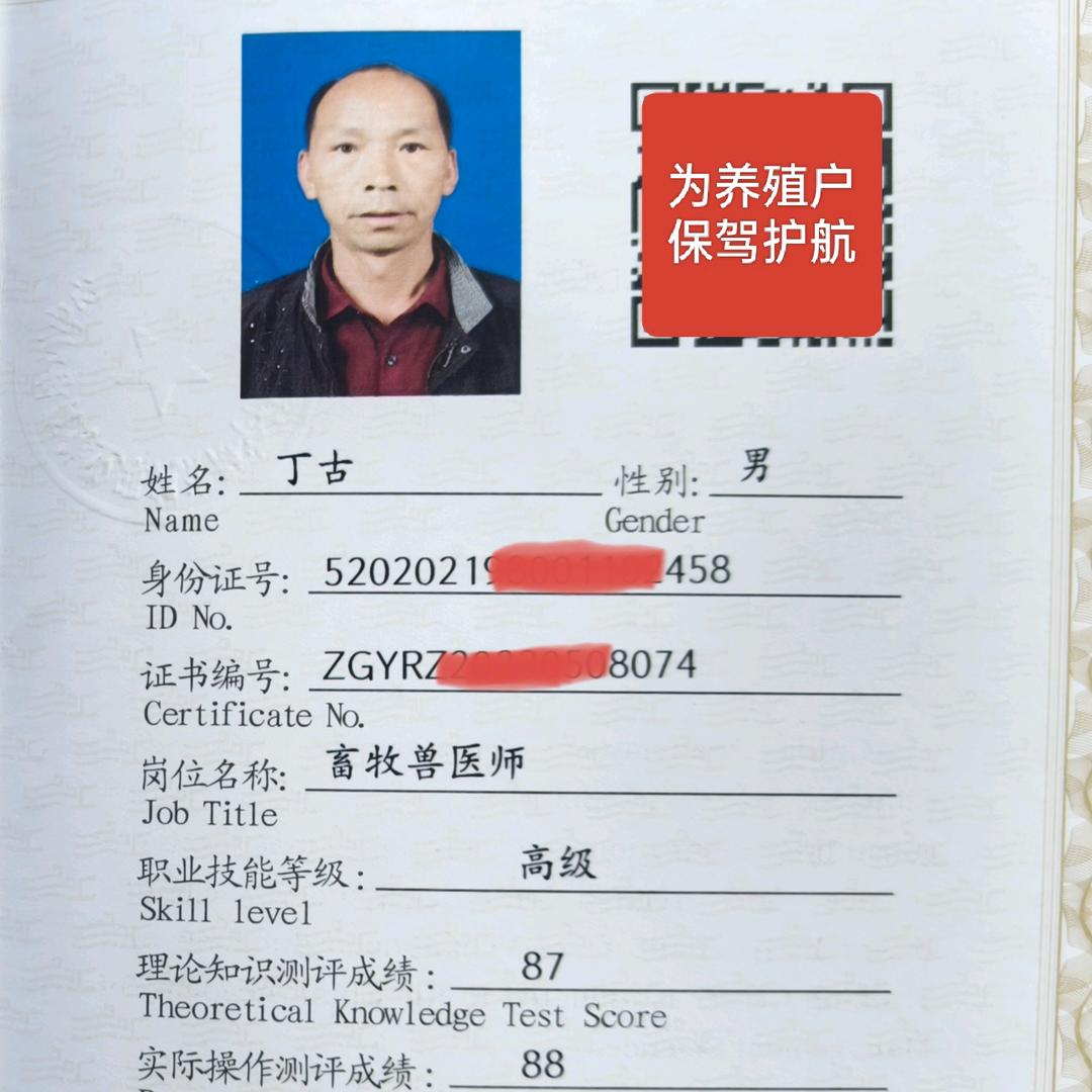 盘州兽医丁哥