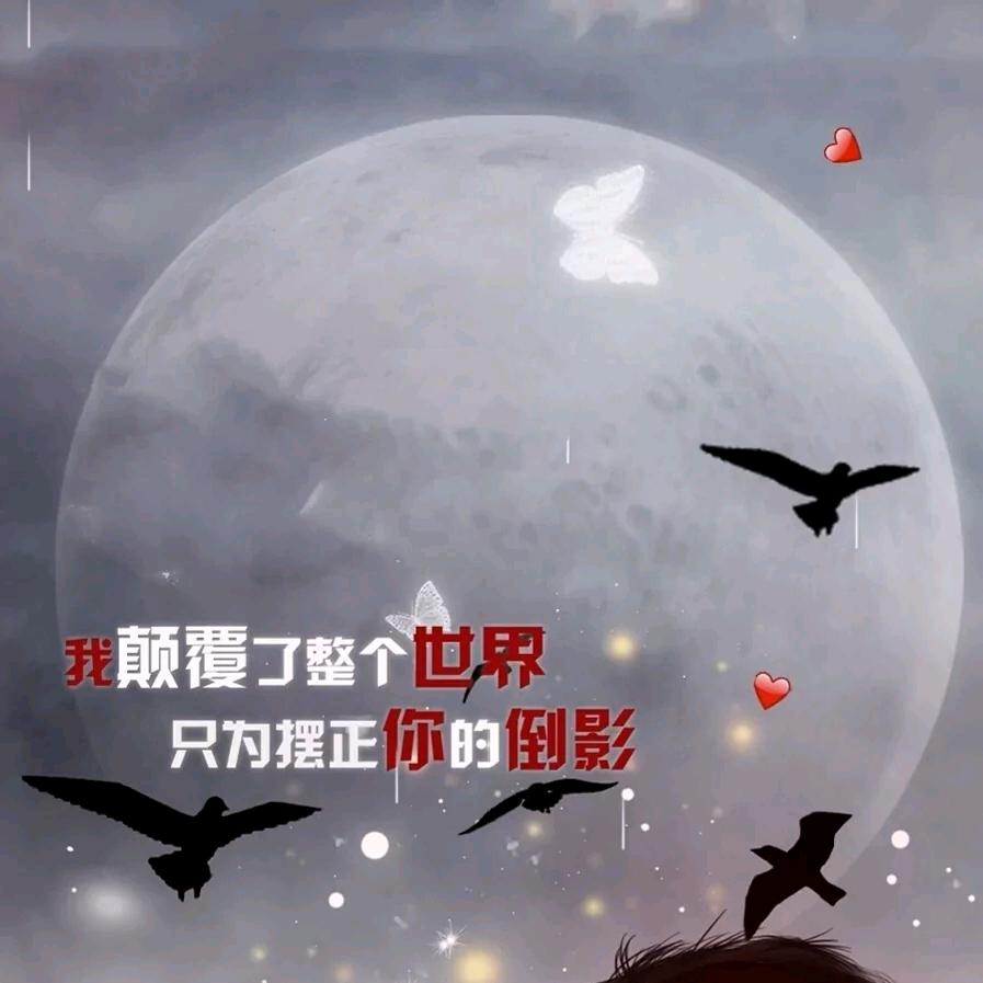 姚入我心