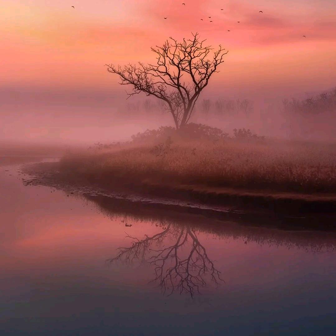 ﹏﹎﹍﹏﹎﹏﹍✍