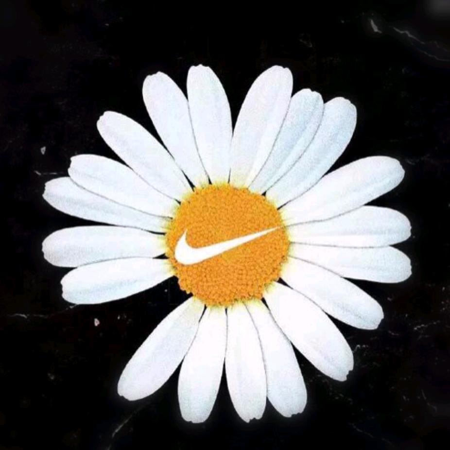 芮不可挡
