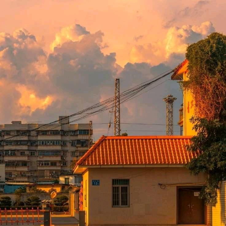 寻梦园