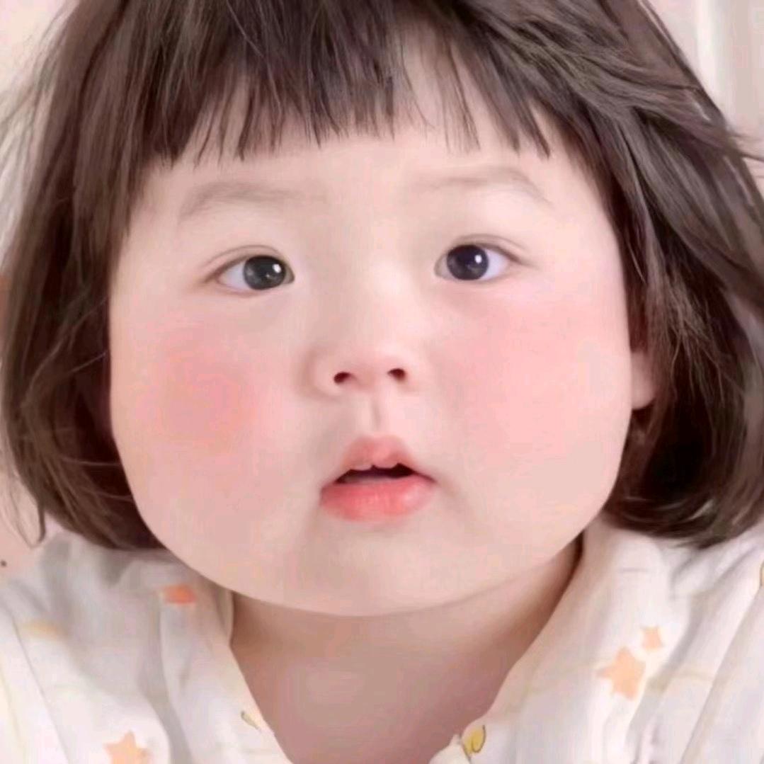 太阳花🌻