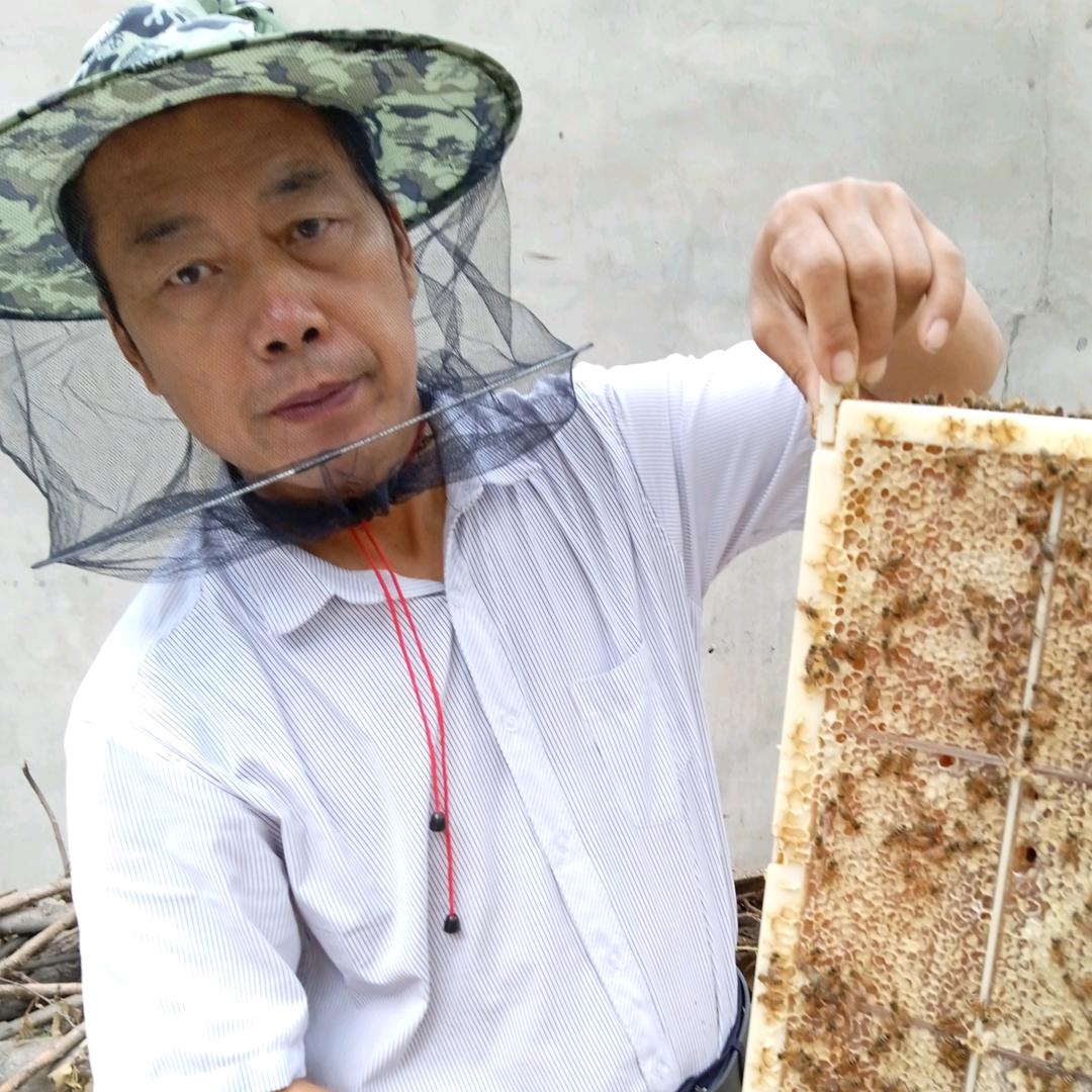 朴实的蜂农