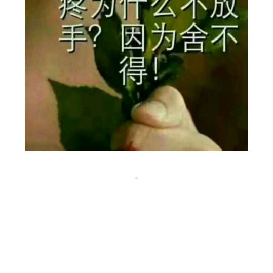 用户31212231