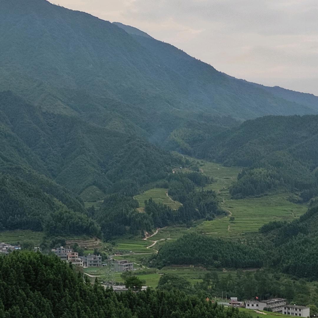 星光灿烂