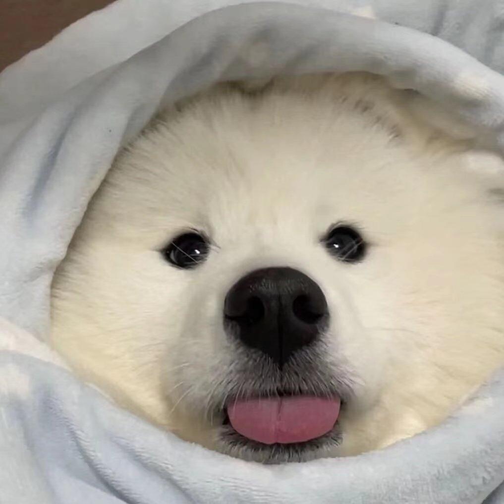 koki
