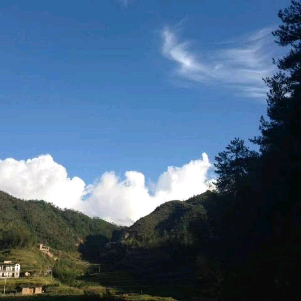 陈英