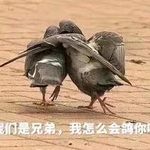 小帮谈影