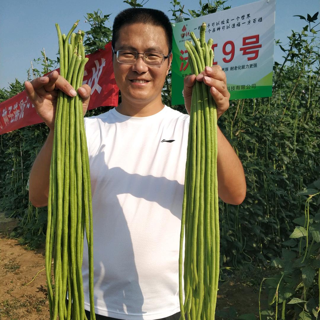 鼎优农业（专注菠菜和豇豆）