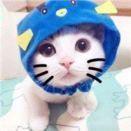 小和尚。。