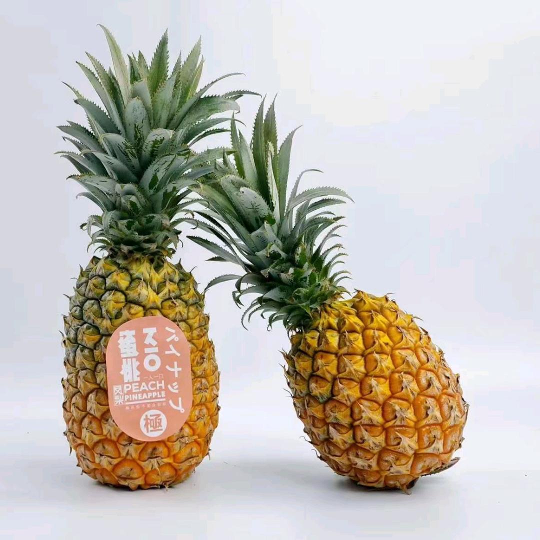 灵儿姐