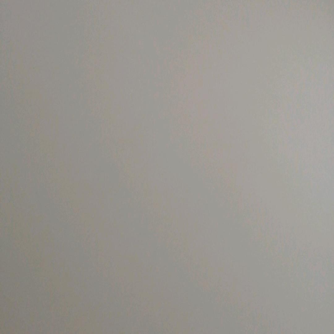 海洋洋