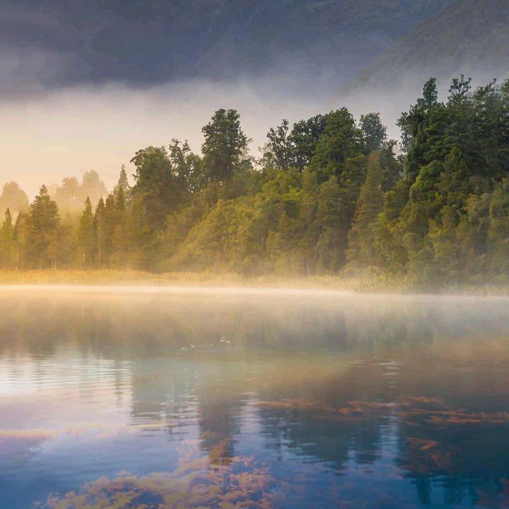钟山绿水
