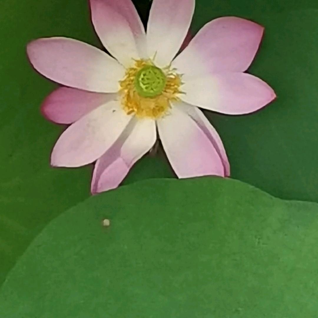 ❤️❤️明天更美好💃