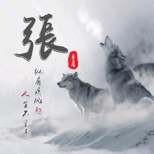 前世不欠，今生不见