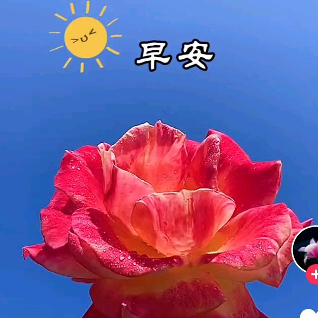 随奇自然