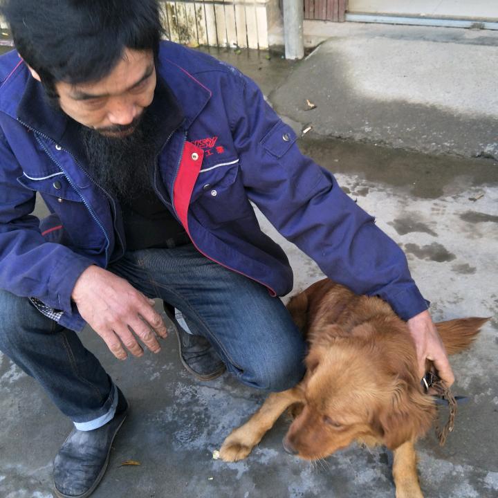 等你等了那么久