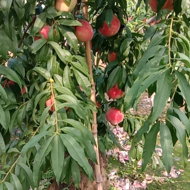 心中有你，快乐每一天