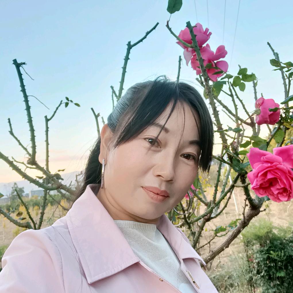 🌺🌹开心每一天🌹🌺
