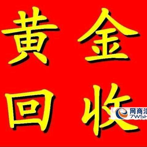 琴月淘金