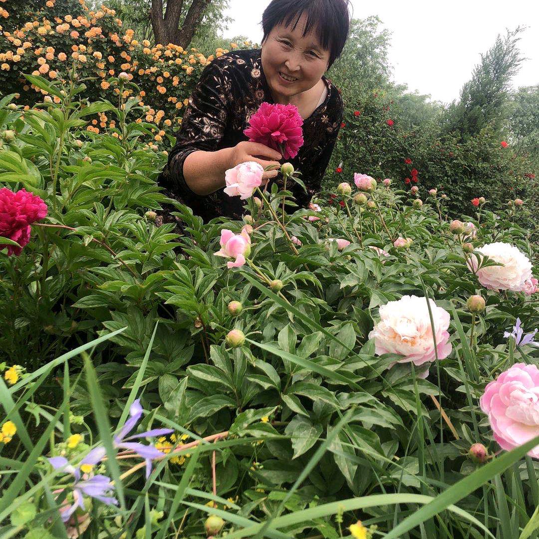 泥土人 生，乐观心态，知足常乐