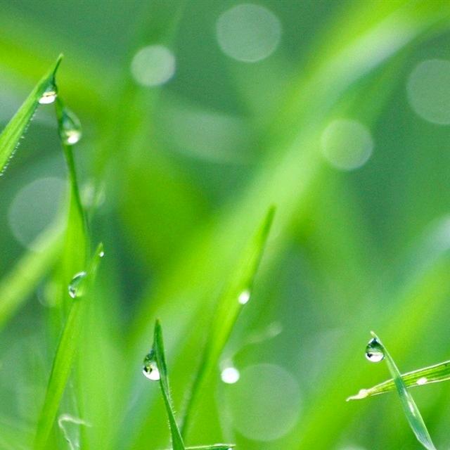 用户1961378838691    阳