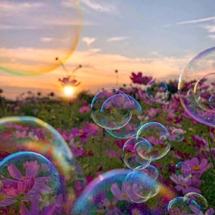 一朵小洪花