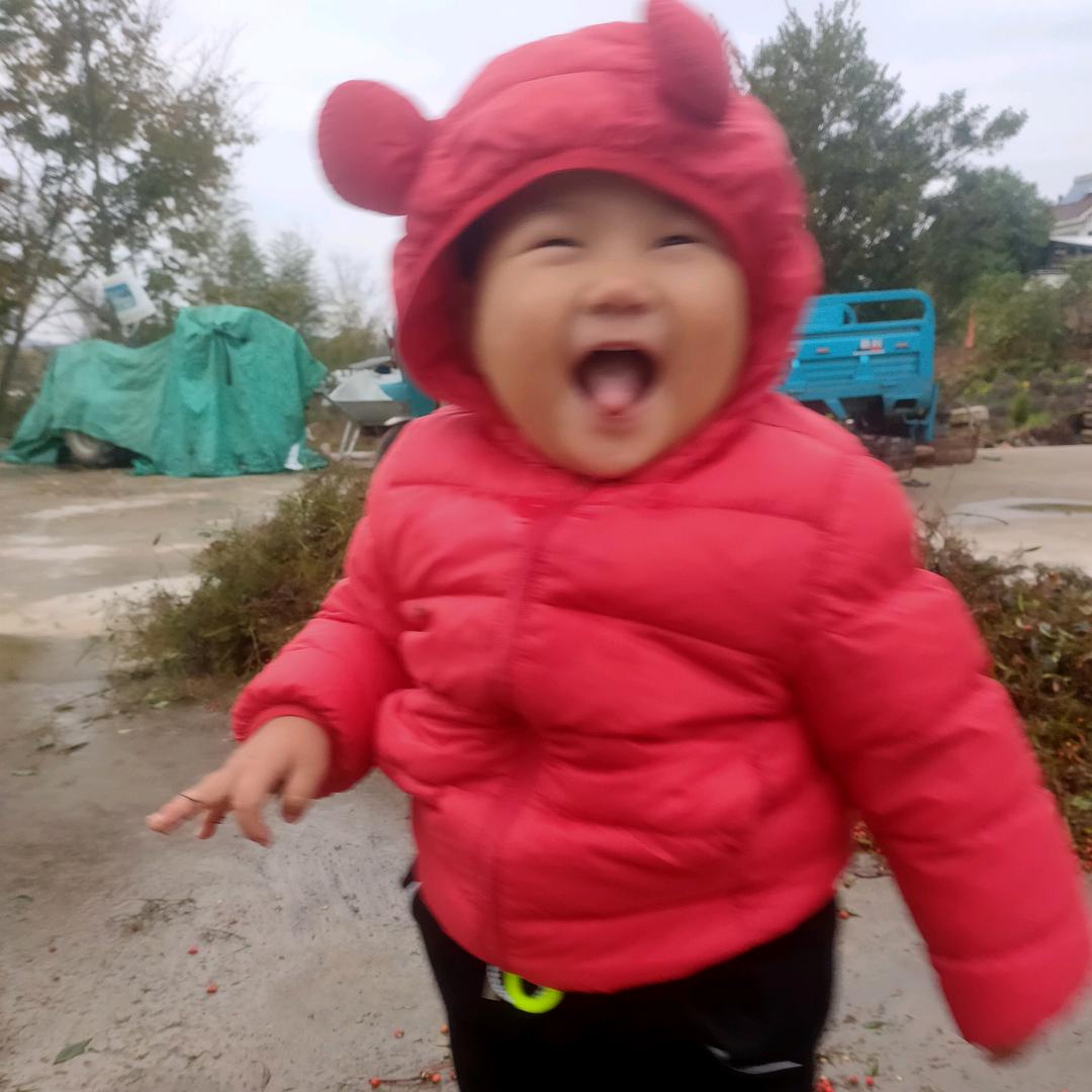 景天苗木