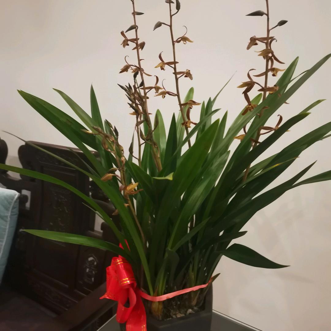 知足常乐😀