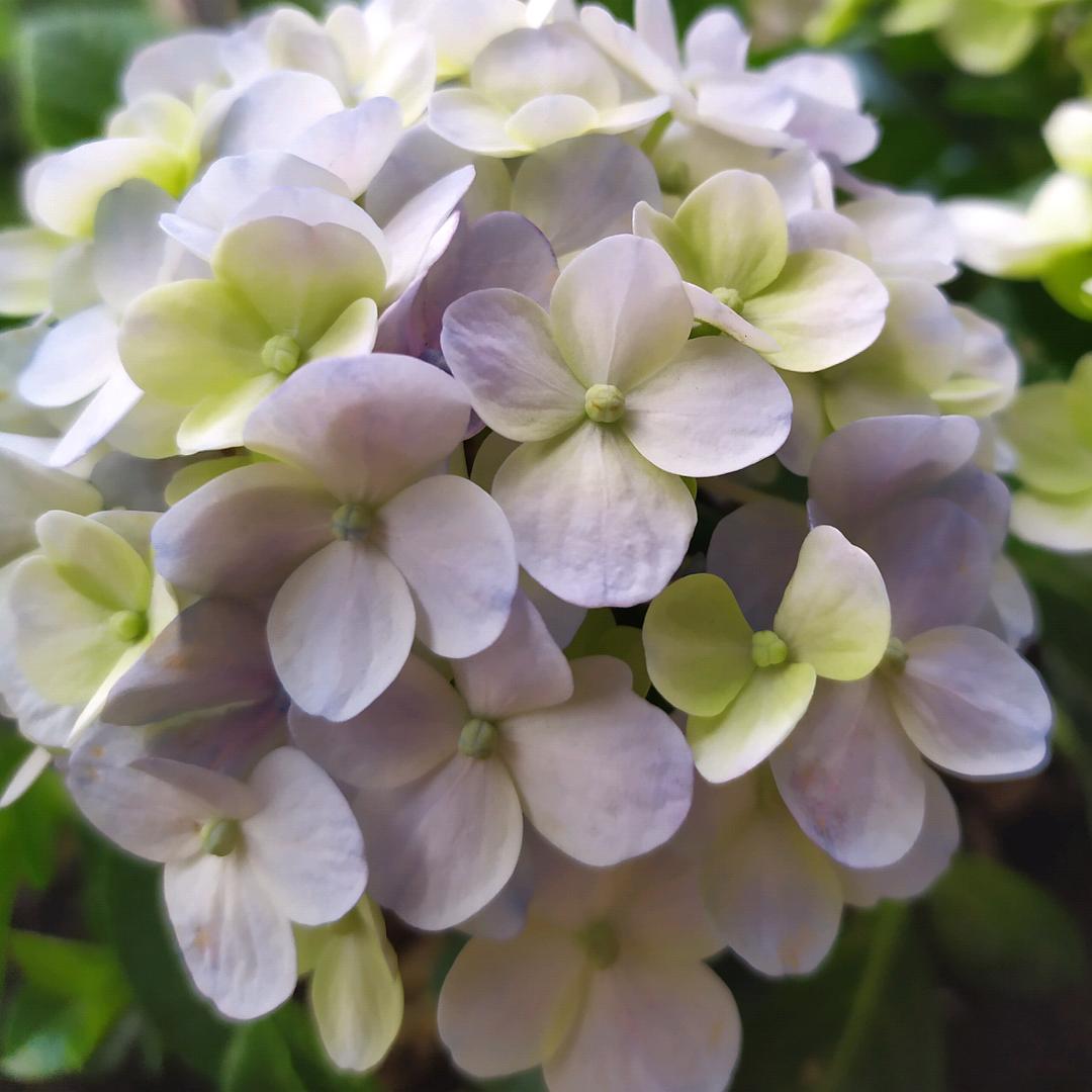 萌萌💝