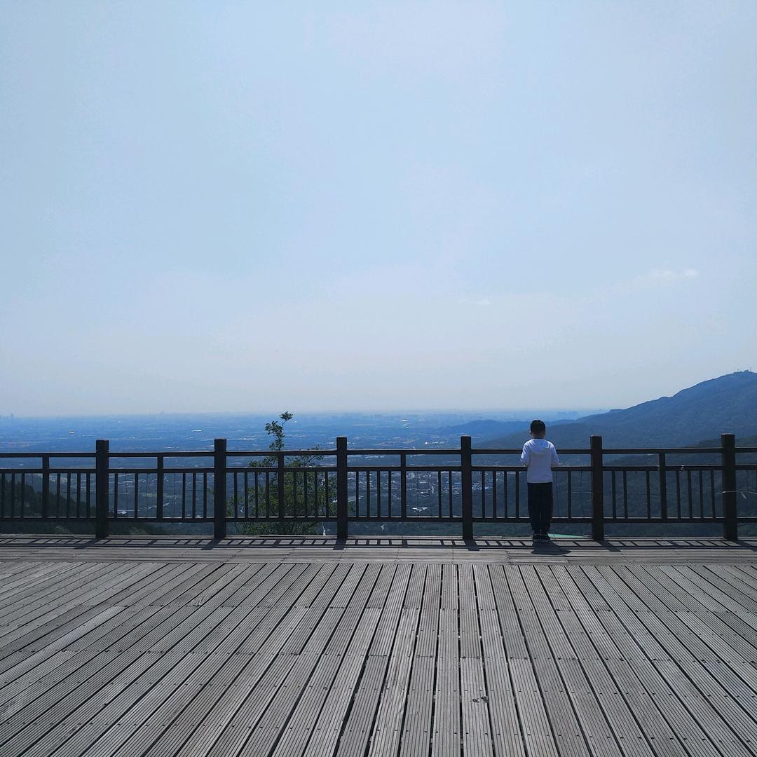 牧牛人
