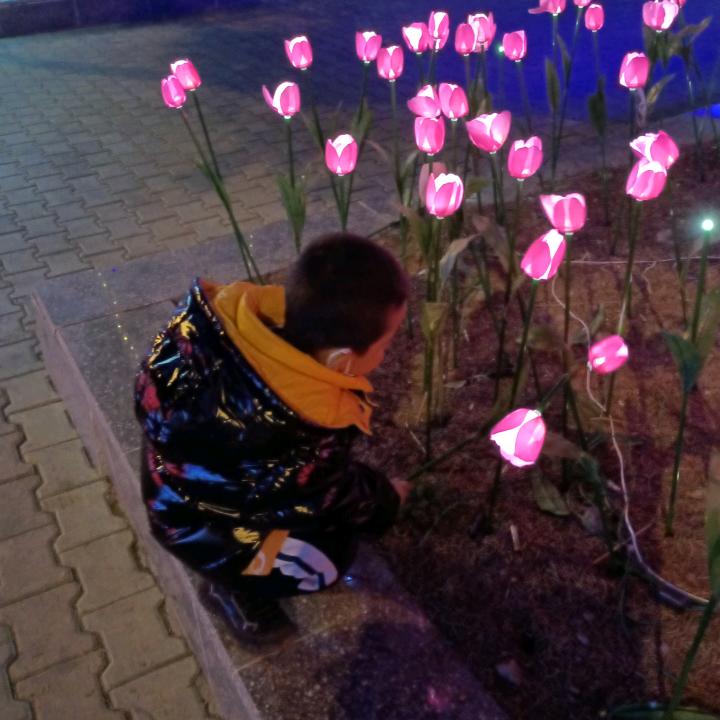 🍓生而平凡🍓