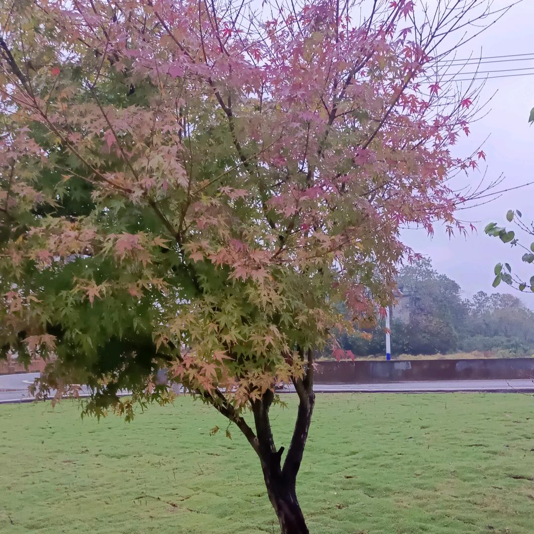 @不离不弃🌻🌻🌻