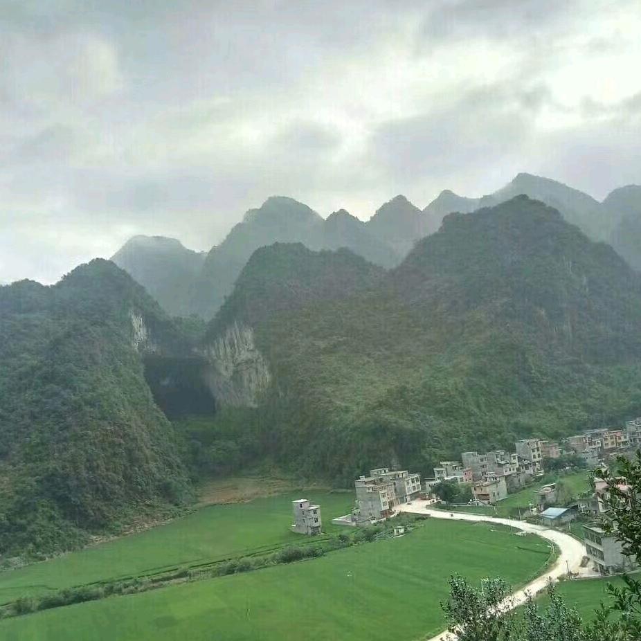 为爱停流