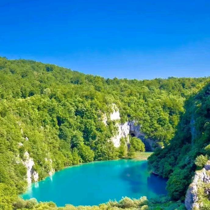 福星高照@鸿运当头