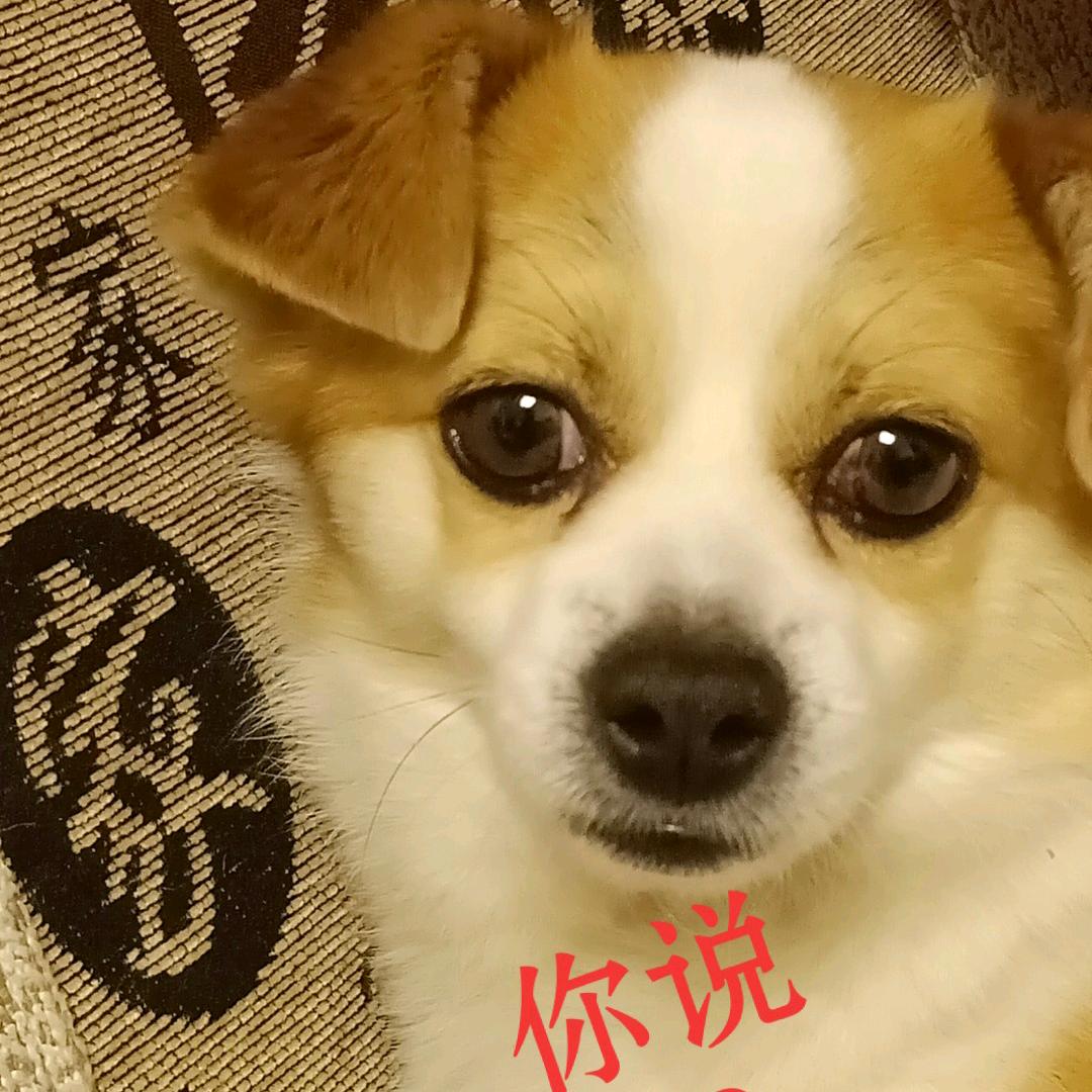 暖暖的冬阳