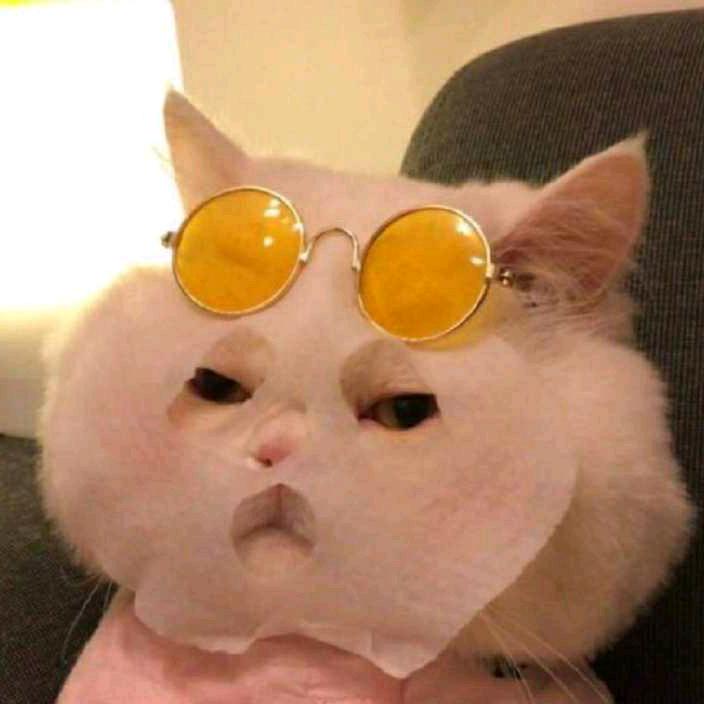 郑大丽