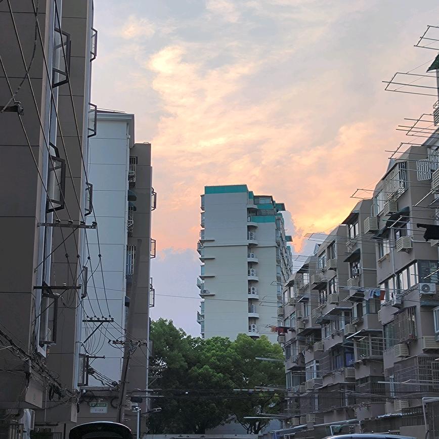 逆蝶